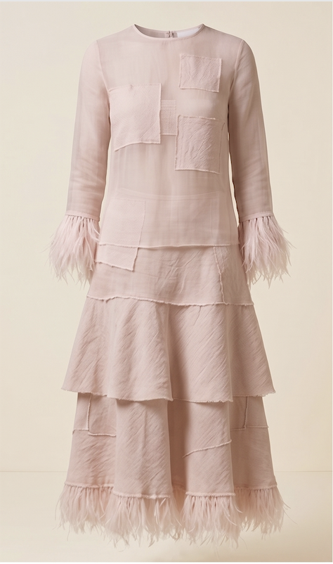 The Feathered Sheer Dress
